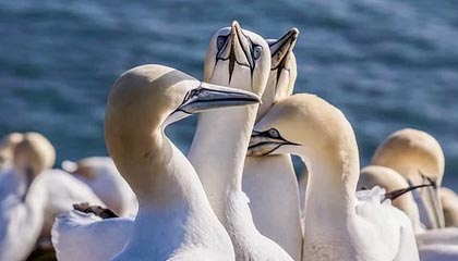 EIA：上周美国原油库存减少350万桶