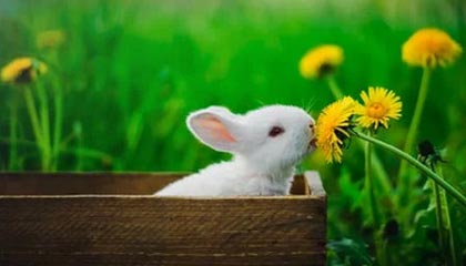 【“永续合约”7*24小时加杠杆，币圈资本猛炒黄金和原油“代币”】当比特币套利空间被机构竞争压缩至5%，加密对冲基金将目光投向了黄金、原油和铜——那些在区块链平台上定价混乱、竞争者寥寥的古老传统。借助永续合约全天候交易，他们比传统市场早数小时完成风险定价，配对套利年化回报高达20%至30%...