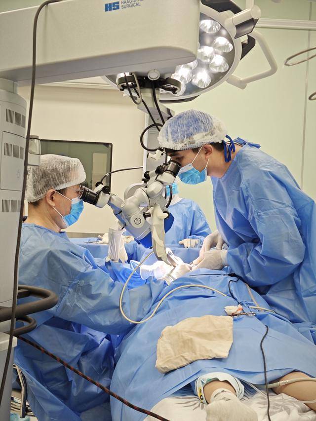 镜观·回响丨赓续传统友谊 共筑友好基石