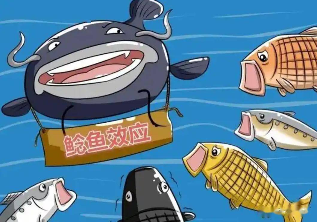 印度 “去美元”44% 原油进口绕开美元体系，中国如何悄然布局？