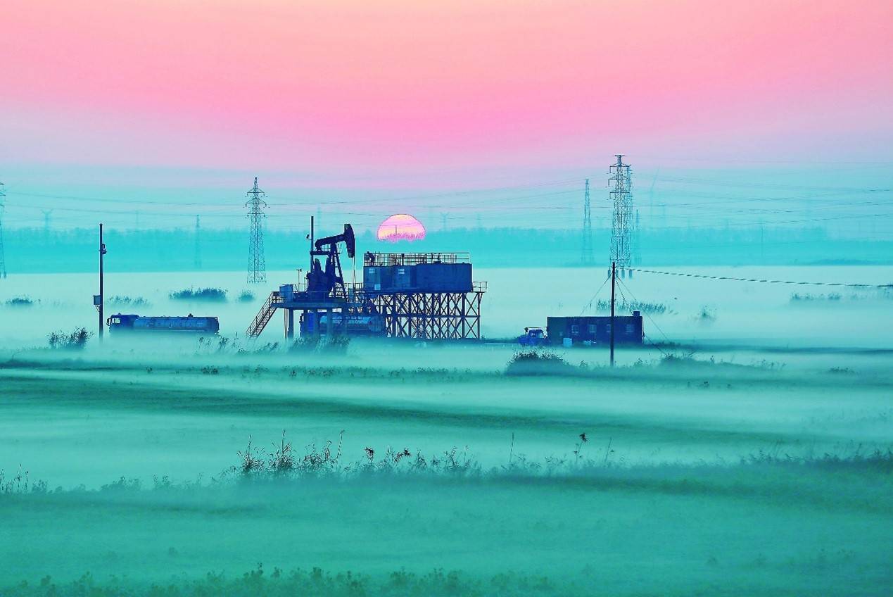 国内油田含水率现状揭秘：你的原油达标了吗？