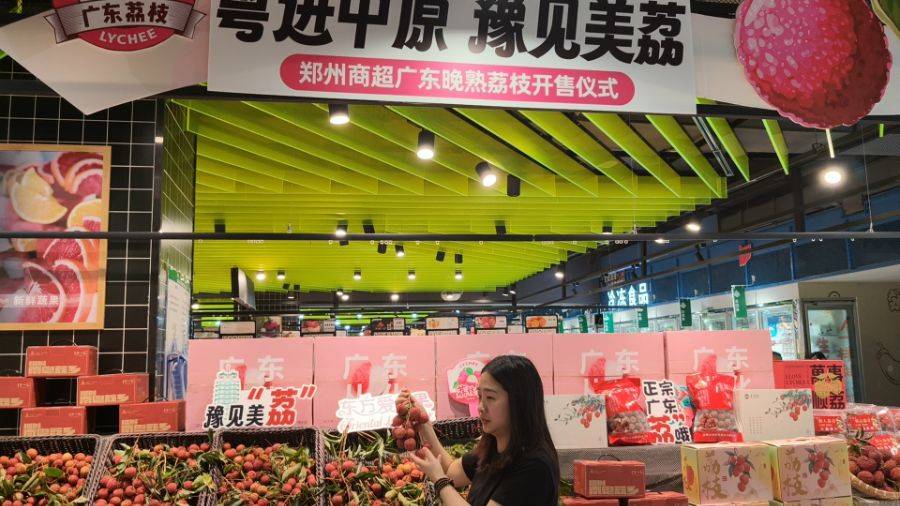 广东荔枝叩关中原