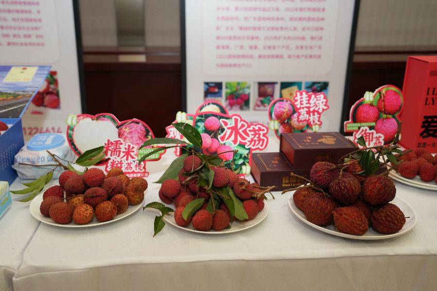 广东荔枝叩关中原