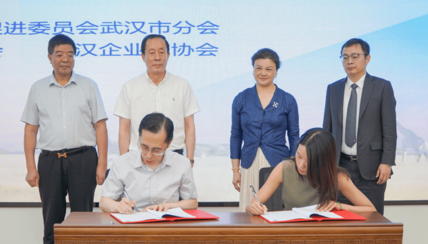 2025中国（武汉）——中东非洲境外经贸合作交流会在武汉举行