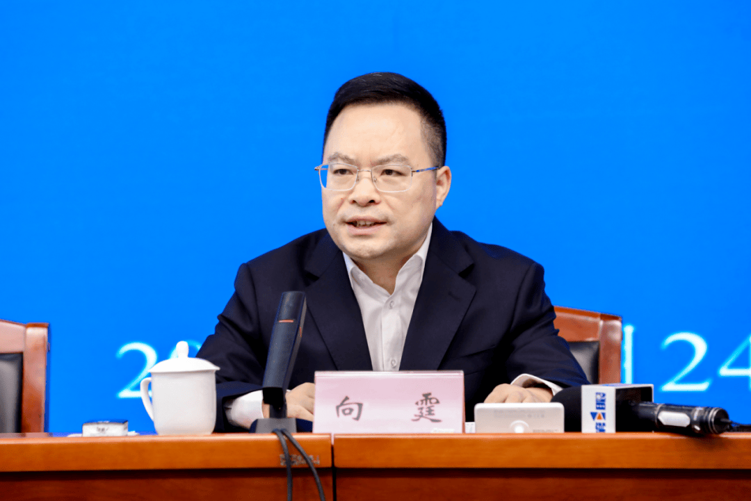 中央巡视期间，向霆被查