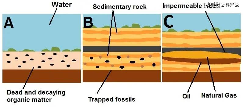 石油为啥论“桶”卖？咸鱼桶也曾装原油，一桶重量竟差18公斤