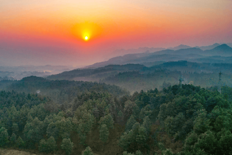 NCE外汇：实时行情数据，辅助决策