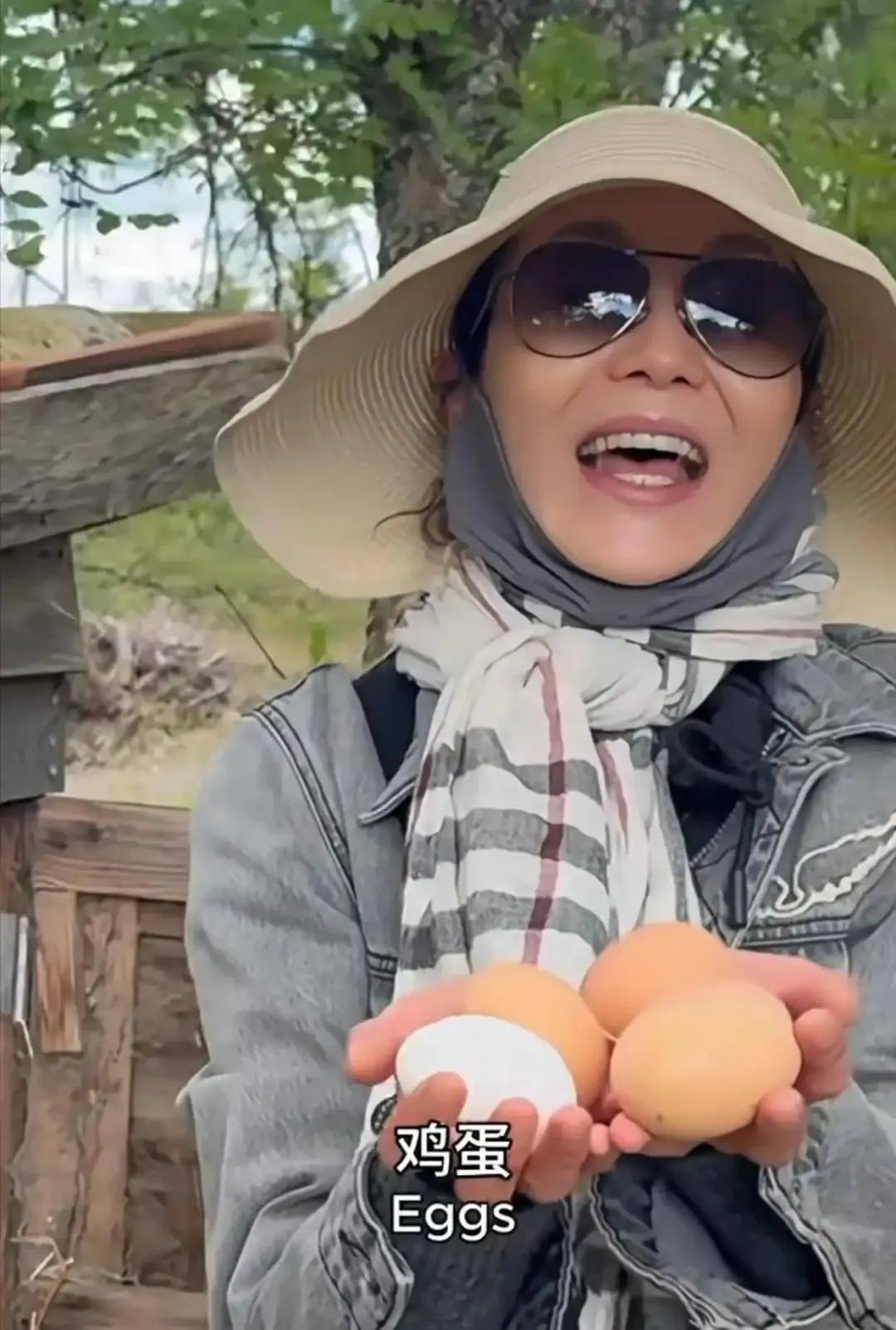 60岁张曼玉分享法国农村生活日常：养鸡种地，钻进鸡窝拿鸡蛋