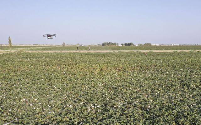 学习进行时｜习近平总书记关心新疆建设发展的故事