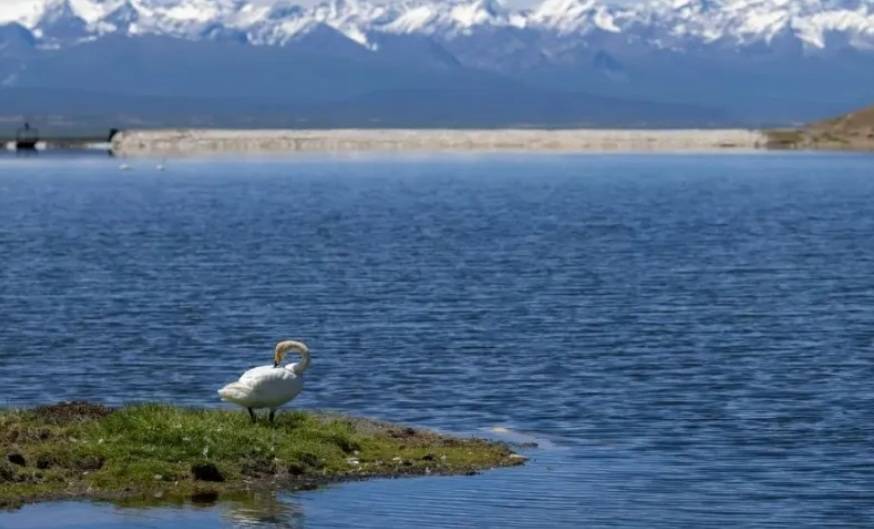 THPX信号源：WTIBTC驱动原油交易的新一轮量化革命