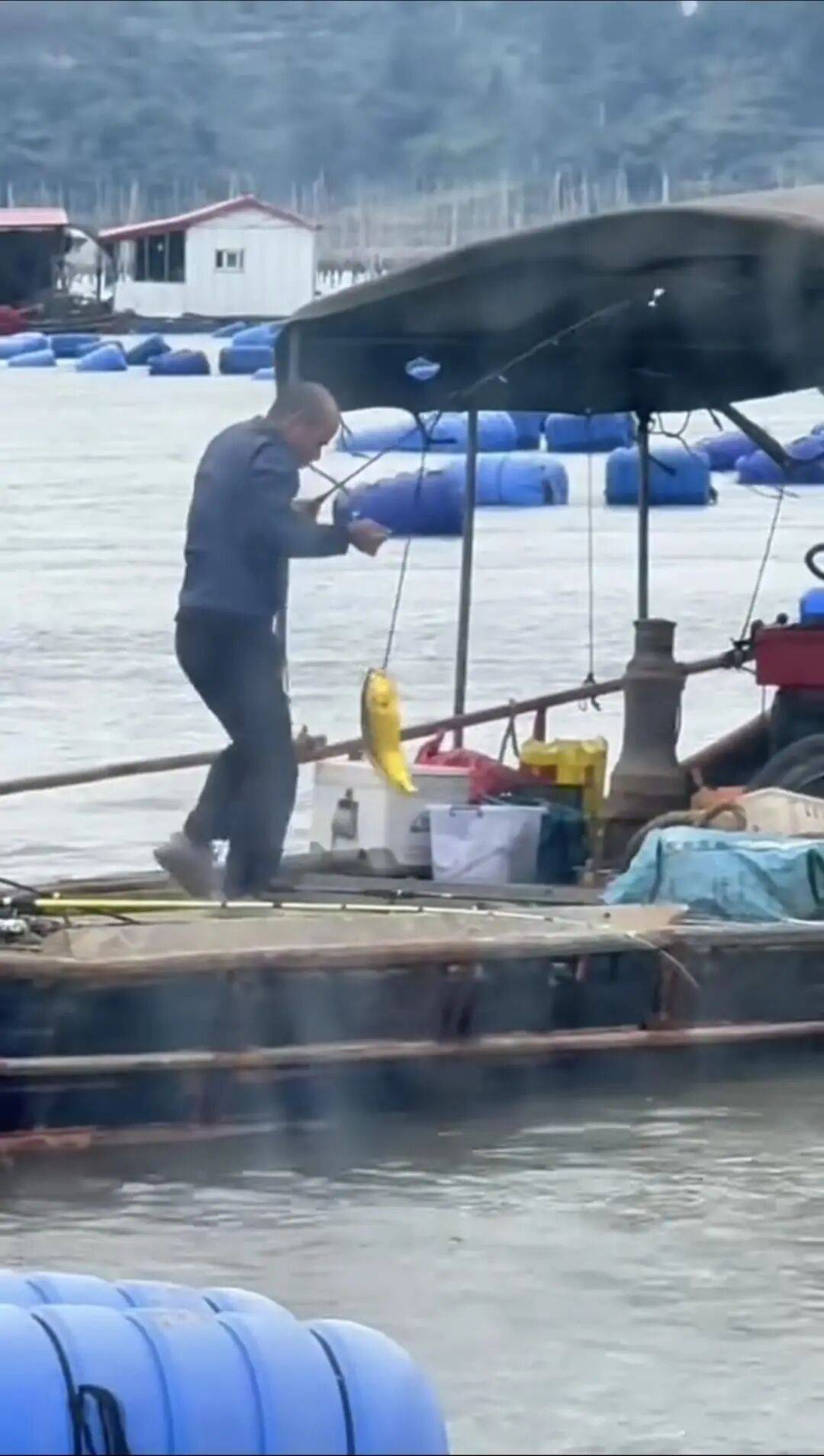 福建大爷海上钓起一条“黄金鱼”，引得围观群众“哇声一片”，有人估算一条能卖2万多