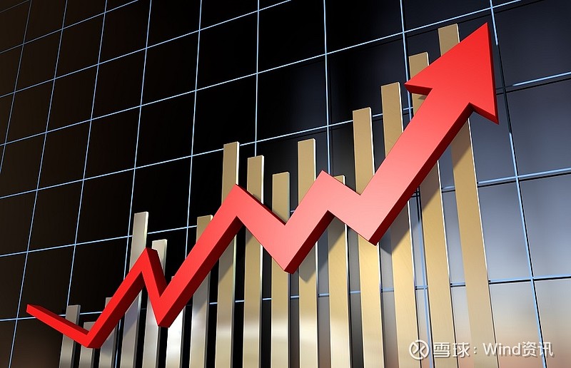 中信证券雪球(中信证券估值 雪球)