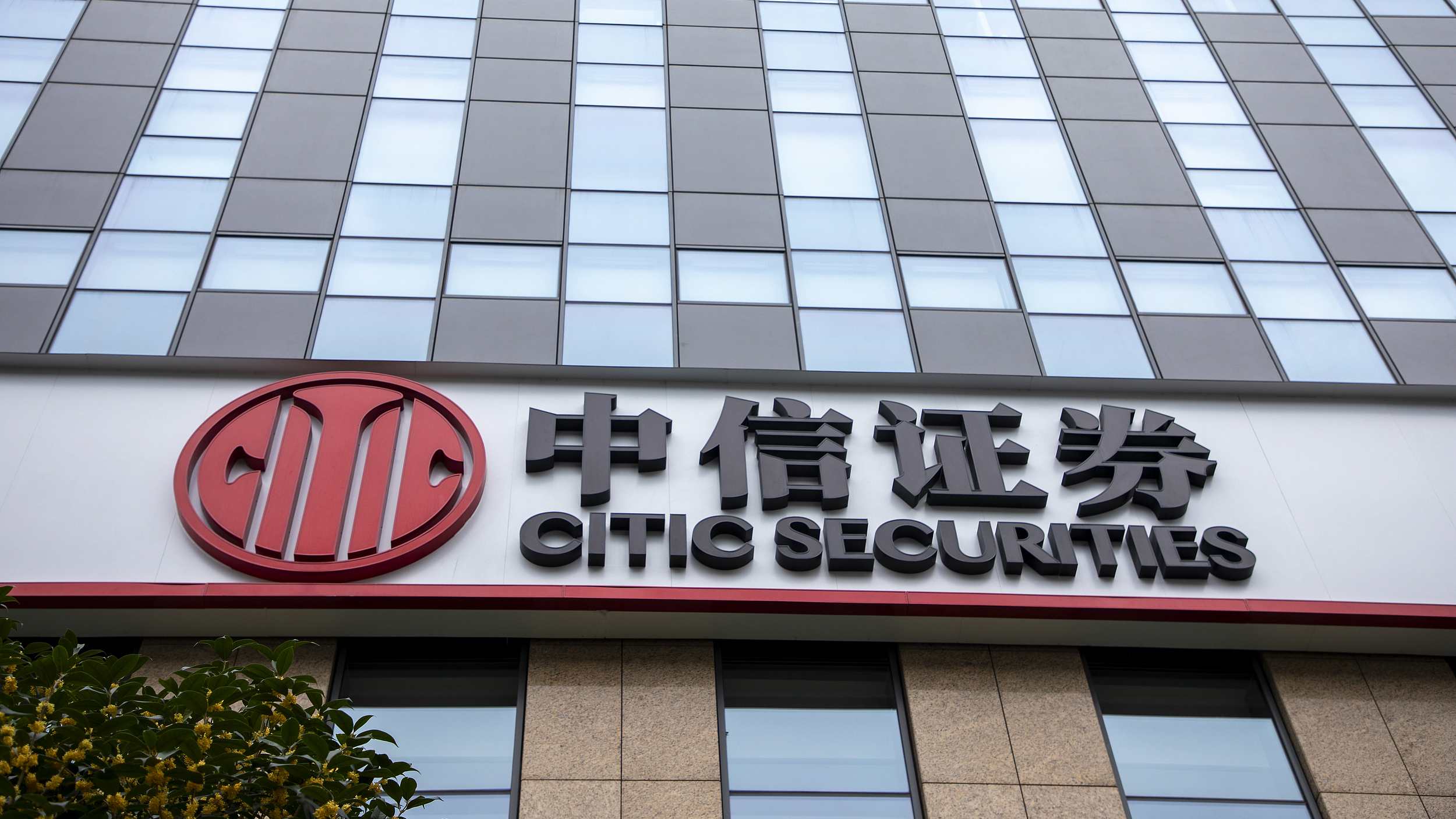 梧桐证券(梧桐 股票)