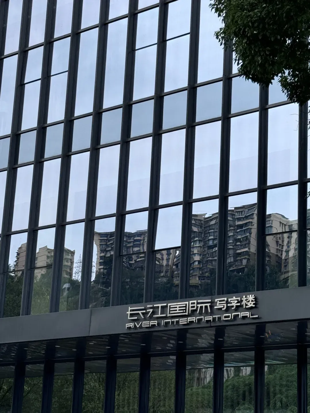 合肥长江证券(合肥长江证券营业部)