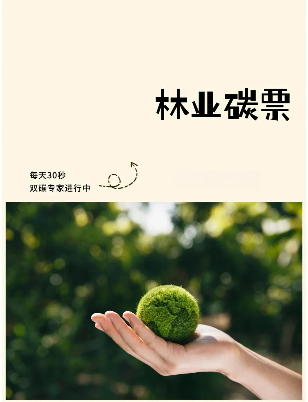 碳证券(碳证书哪个含金量高)