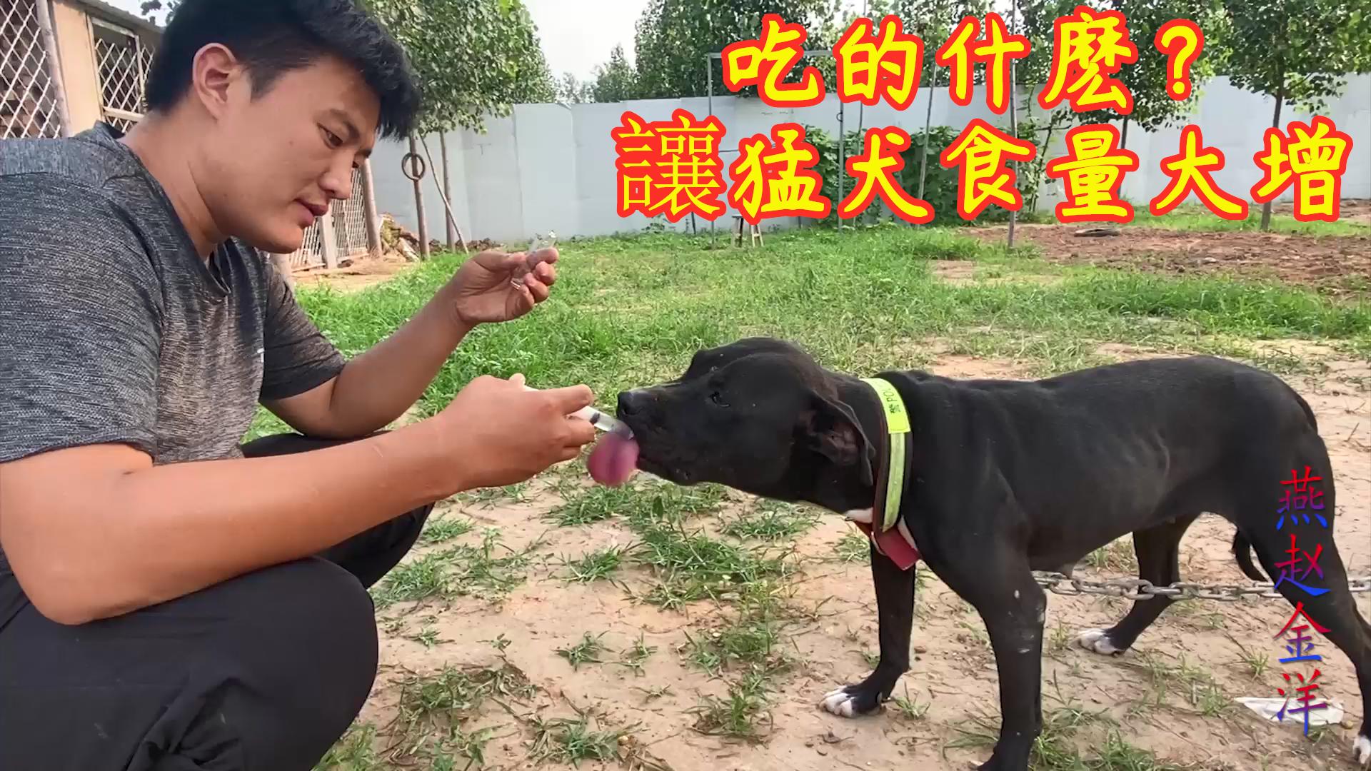 金洋证券(金洋旗下的平台怎么样)