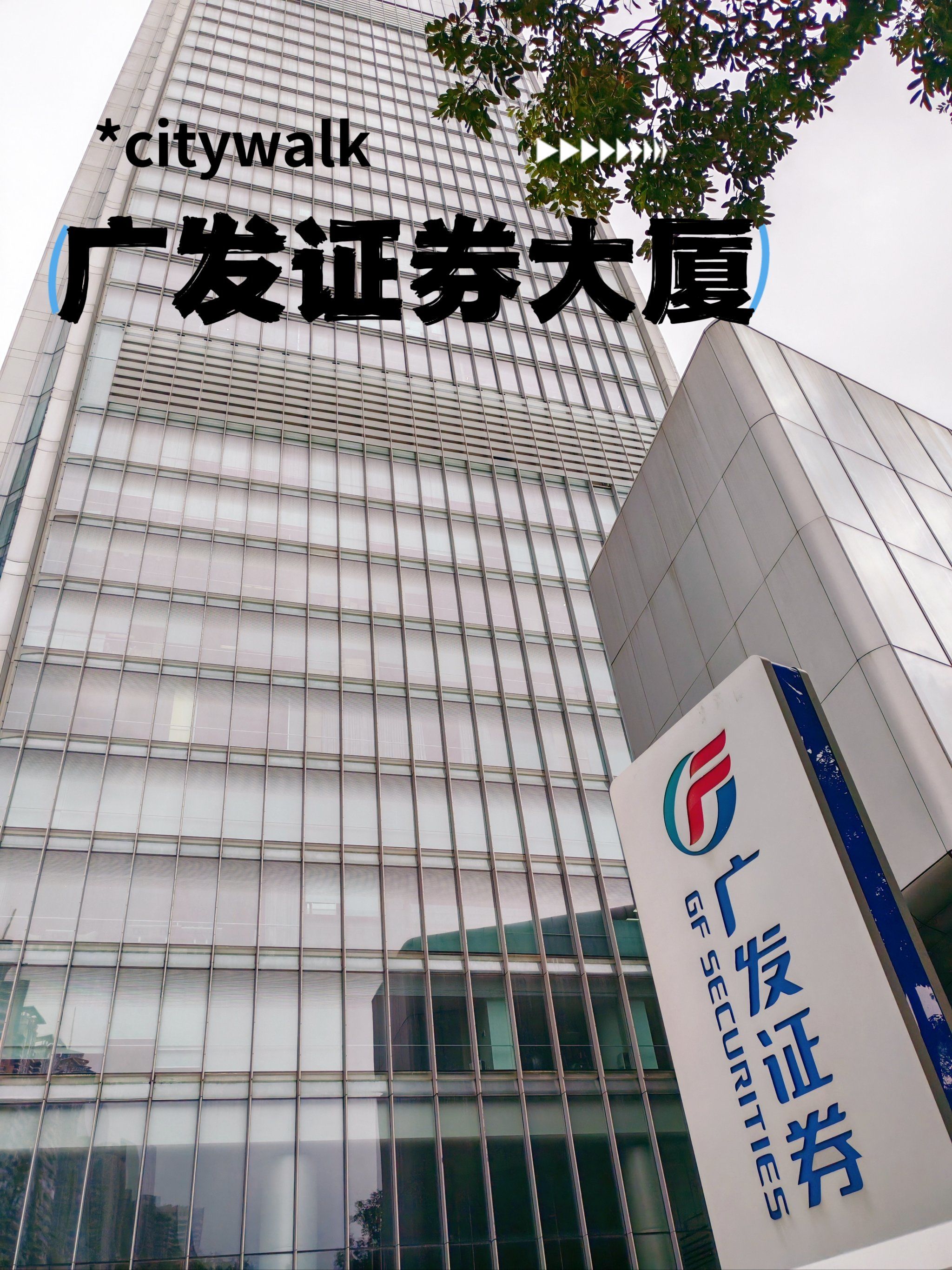 上海宏源证券(上海宏源证券汾西路电话)