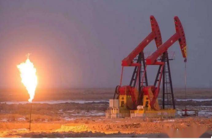 华原油(花园有一个小空地上面是飘窗怎么美化呢)